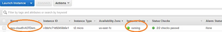 View EC2 Instance